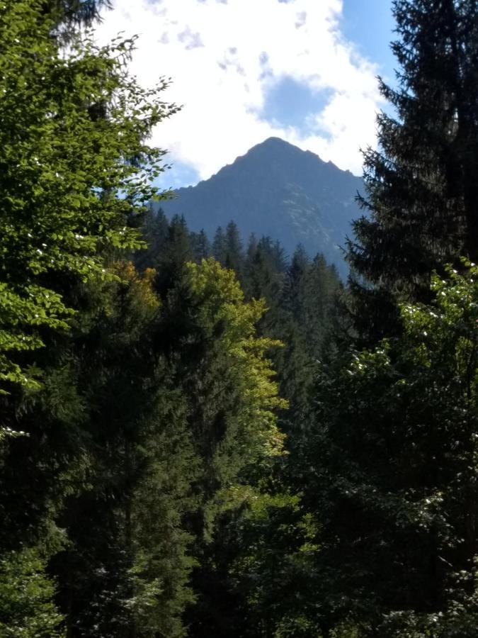 Appartement Eistobel Und Felderhalde à Isny im Allgäu Extérieur photo