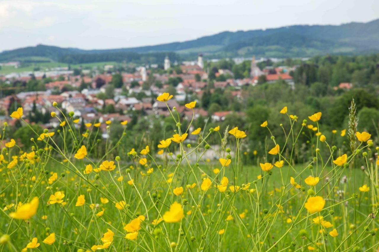 Appartement Eistobel Und Felderhalde à Isny im Allgäu Extérieur photo